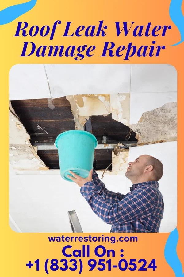 Roof Leak Water Damage Repair in Lone Oak, TX